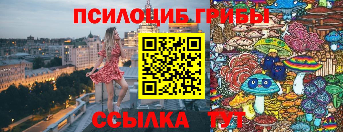 Галлюциногенные грибы Cubensis  Вход с VPN  Касимов 