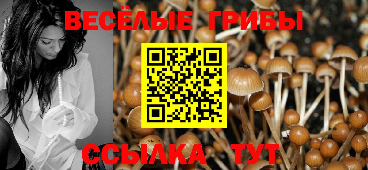Галлюциногенные грибы Magic Shrooms Касимов